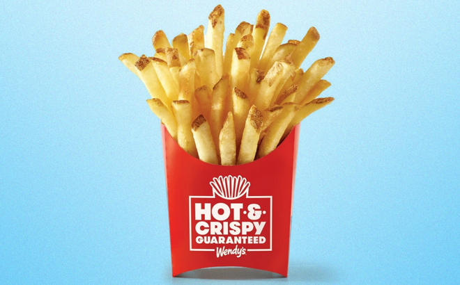 Wendys Hot Crispy Fries