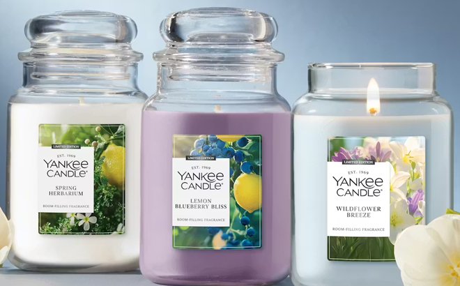 Yankee Candle Original Large Jar Candles in Various Scents