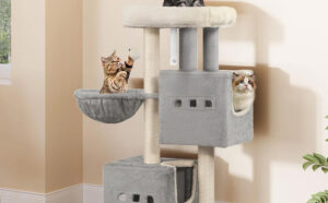 38 6 Inch Cat Tree