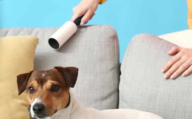 A Perso Using Lint Rollers A Perso Using Lint Rollers