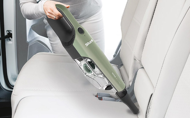 A Person Cleaning with a Vacuum