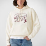 A Person Wearing Levis Standard Hoodie