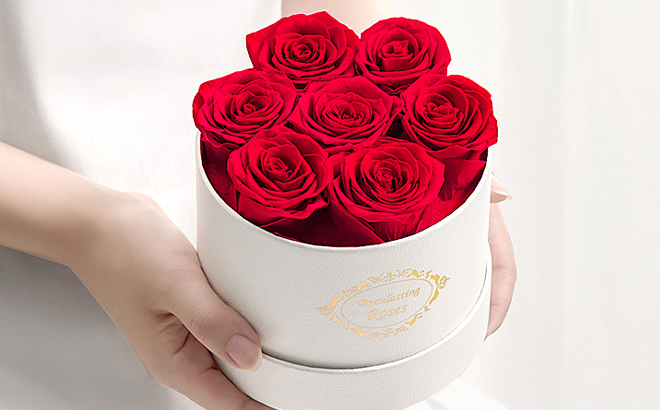 A Person holding Beaulasting Long Lasting Preserved Roses in a Box