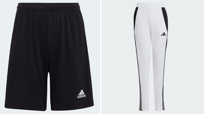 Adidas Kids Entrada 22 Shorts and Kids Tiro 24 Training Pants