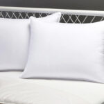 Amazon Basics Down Alternative Pillows 2 Pack