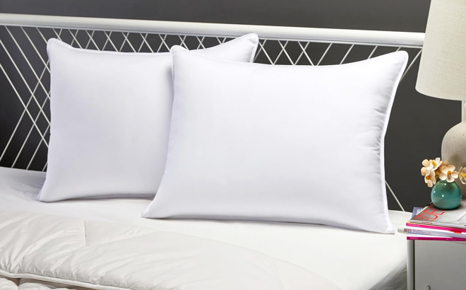 Amazon Basics Down Alternative Pillows 2 Pack