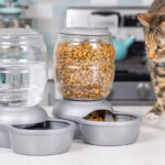 Automatic Waterer for Pets