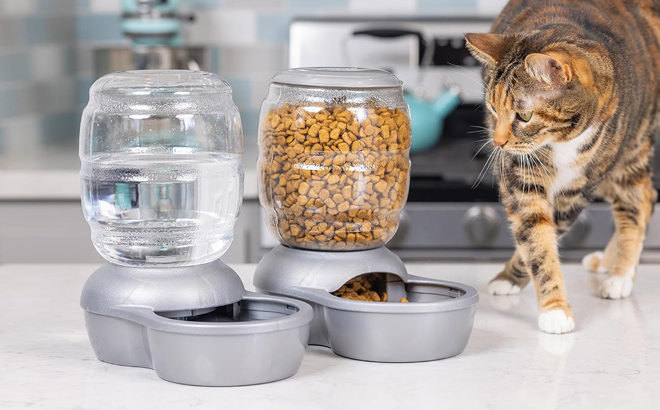 Automatic Waterer for Pets