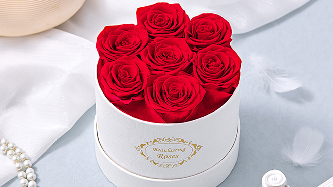 Beaulasting Long Lasting Preserved Roses in a Box Beaulasting Long Lasting Preserved Roses in a Box