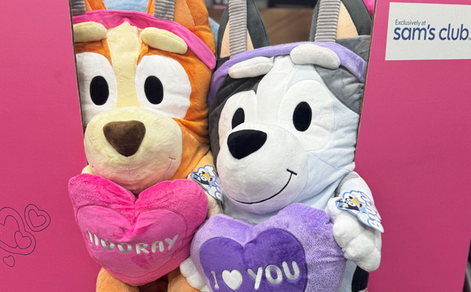 Bluey Jumbo Valentine Plush Bluey Jumbo Valentine Plush