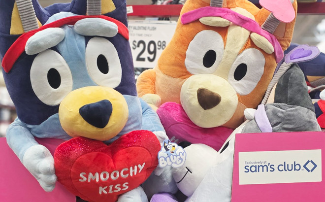 Bluey Valentine Jumbo Plush