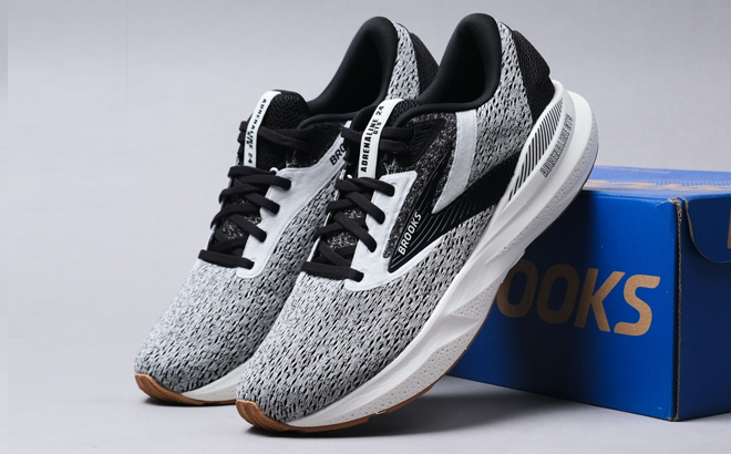 Brooks Adrenaline Shoes