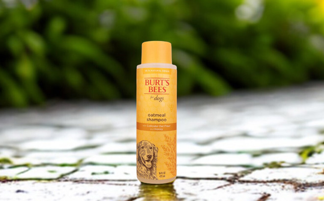 Burts Bees Dog Shampoo