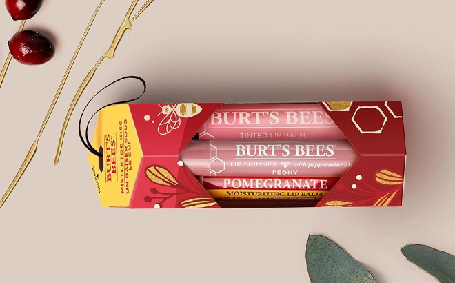 Burts Bees Mistletoe Kiss Lip Balm Lip Shimmer Holiday Gift Set