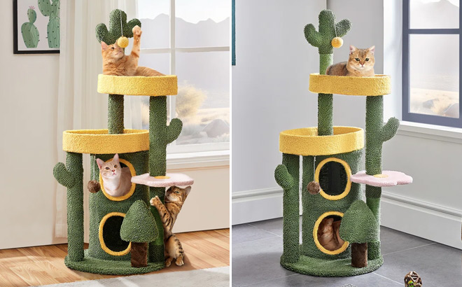 Cheltenham Oasis Themed Cat Tree Cheltenham Oasis Themed Cat Tree