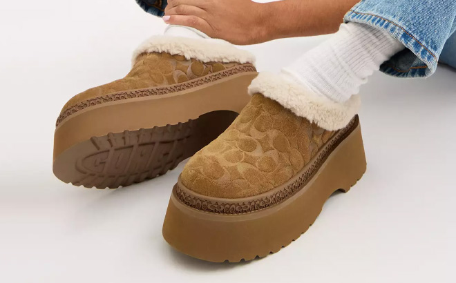 Coach Outlet Cecelia Clog In Signature Suede