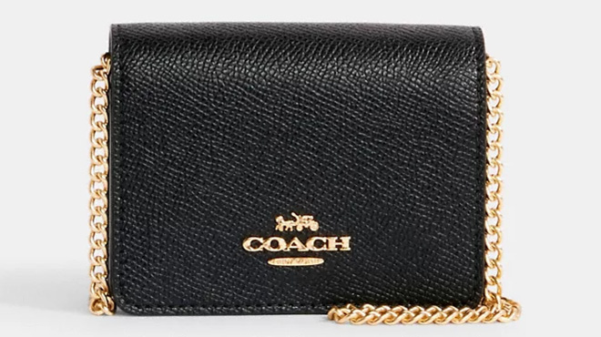 Coach Outlet Mini Wallet On A Chain With Heart Rivets 1