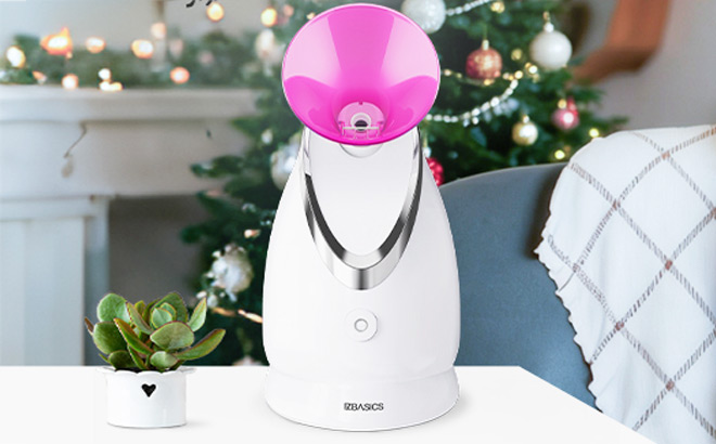 EZBASICS Facial Steamer