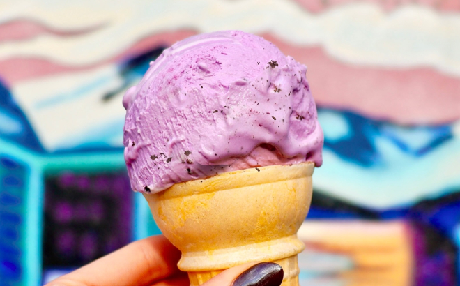 Good Times Burgers Frozen Custard Ice Cream Scoop on a Cone