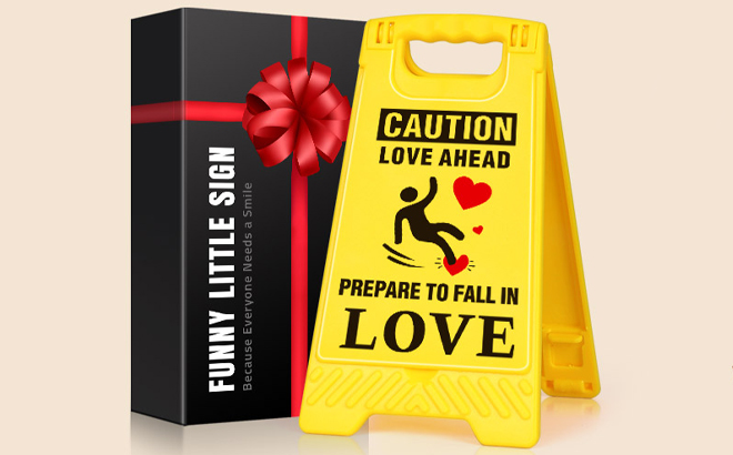LAGERFEY Valentines Day Funny Mini Desk Decor Sign