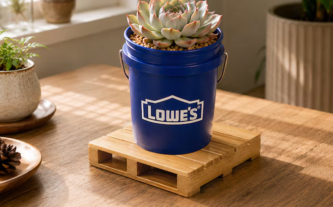 Lowes Mini Pallet 4 Pack Brown Wood Rectangle Coasters