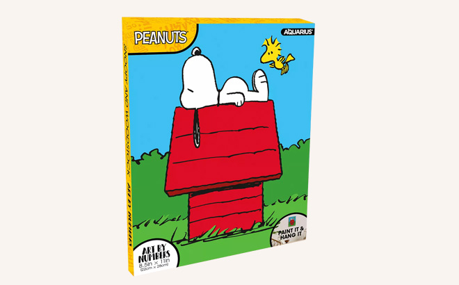NMR Snoopy Mini Paint by Numbers Art Kit