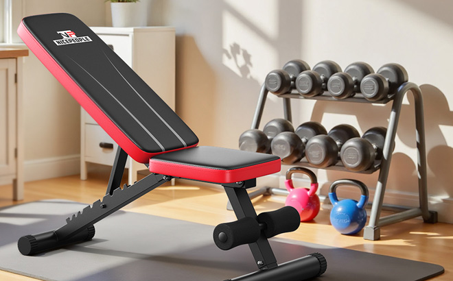 Nicepeople Basic Weight Bench for Home Gym