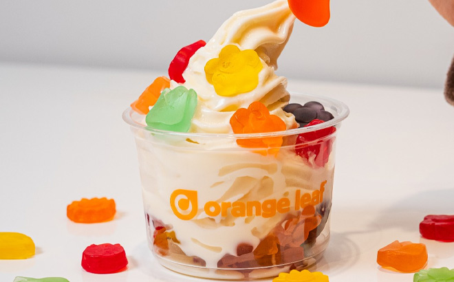 Orange Leaf Froyo