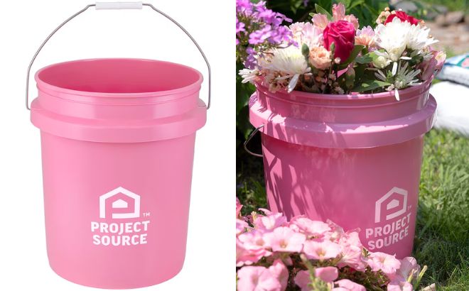 Project Source Pink 5 gallon Plastic General Bucket