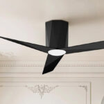 Roomratv Black Ceiling Fan