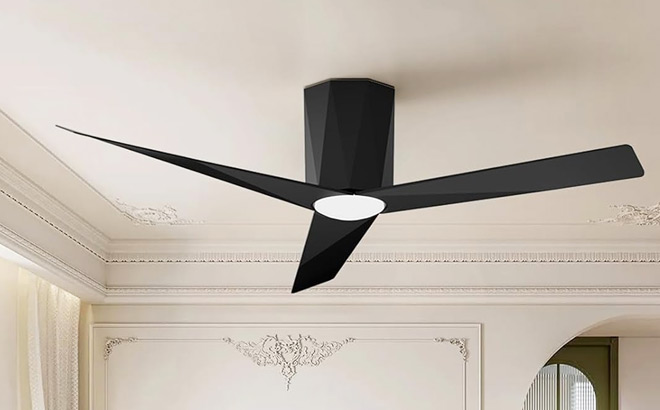 Roomratv Black Ceiling Fan