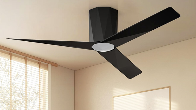 Roomratv Ceiling Fan Roomratv Ceiling Fan