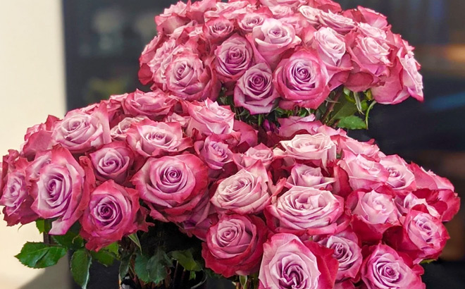 Rose Farmers Magenta Lavender Bi Color Roses Bouquets