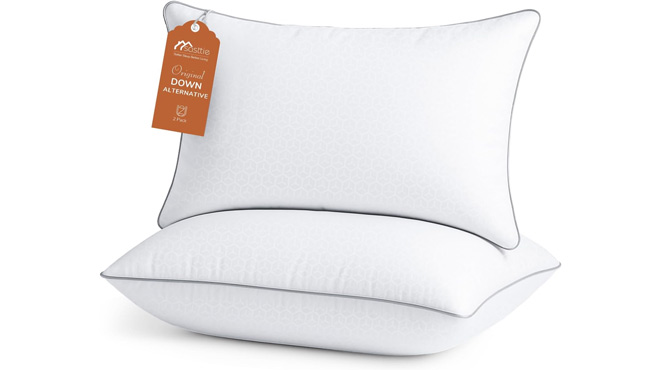 Sasttie Pillows Queen Size 2 Piece Set