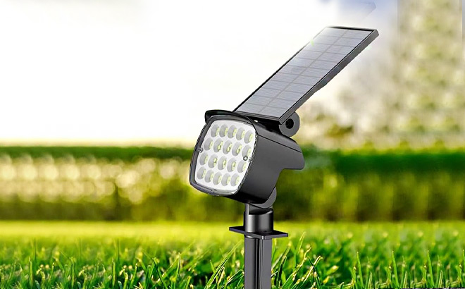 Solar Lights 4 Pack