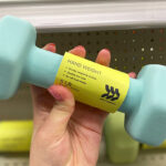 Target All In Motion Hand Weight