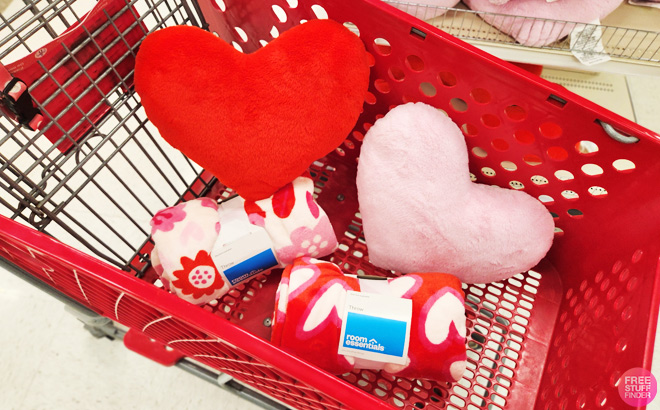 Valentines Day Throws and Pillows