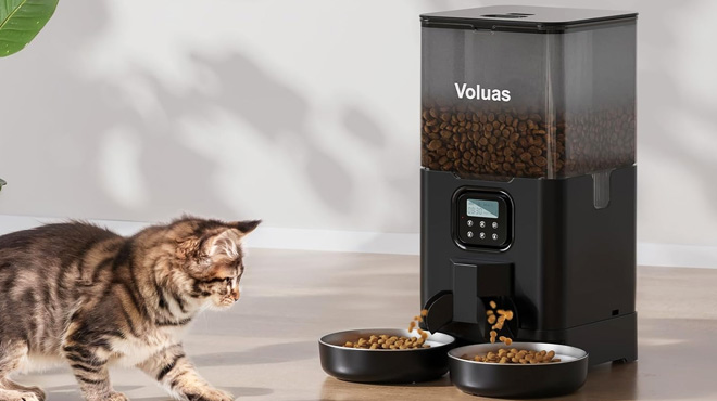Voluas Automatic Cat Feeder Black