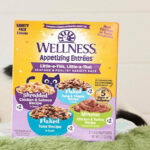 Wellness Appetizing Shredded Mousse Wet Cat Food 8 Pack