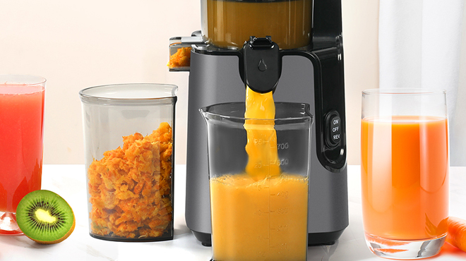 Ypone Masticating Juicer Machine