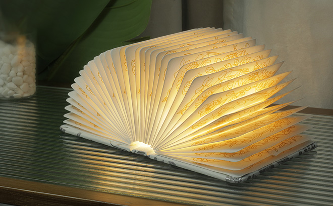 Zbole 3 Color Book Lamp in White Color