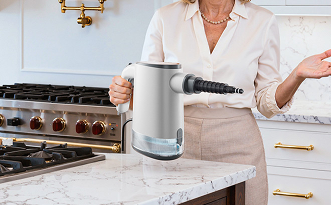 A Person Holding Steam Cleaner