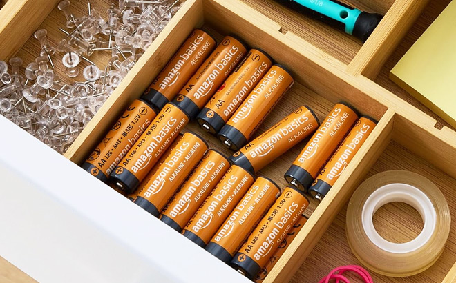 Amazon Basics 48 Pack AA Alkaline Batteries