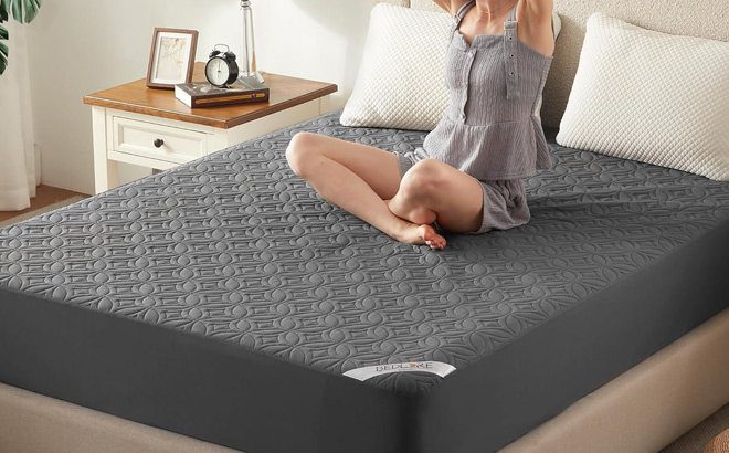 Bedlore Waterproof Mattress Protector in Queen Size
