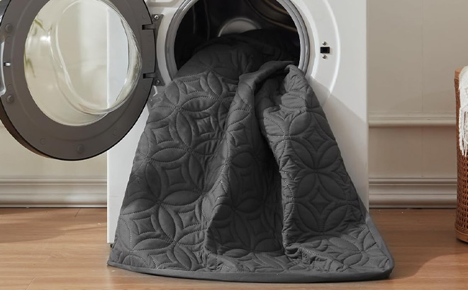 Bedlore Waterproof Mattress Protector