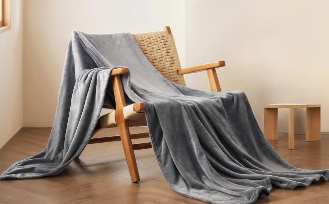 Bedsure GentleSoft Fleece Bed Blanket