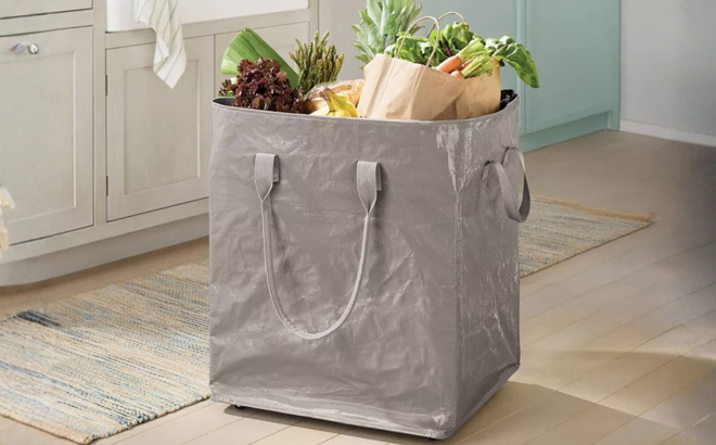 Brightroom Storage Bag with Wheels Brightroom Storage Bag with Wheels