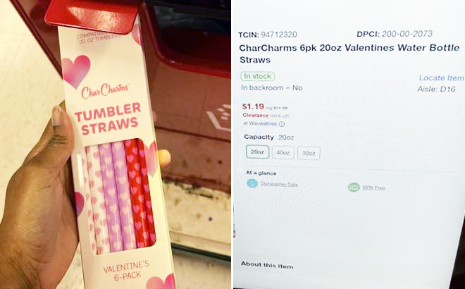 CharCharms Valentines Water Bottle Straws 6 Pack CharCharms Valentines Water Bottle Straws 6 Pack