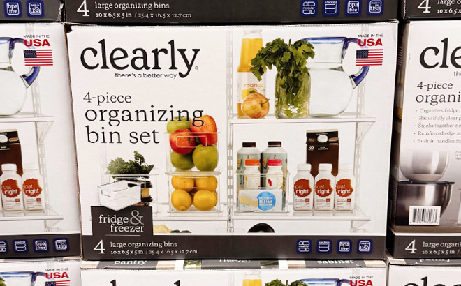 Clearly 4 Piece Organizing Bin Set Clearly 4 Piece Organizing Bin Set