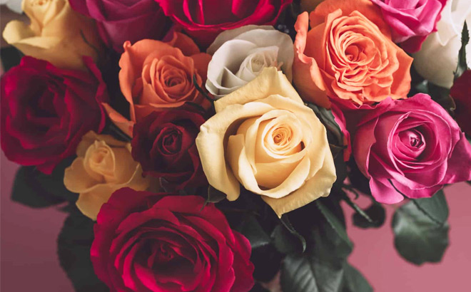 Farmers Choice Roses